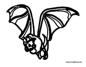 Bat 7