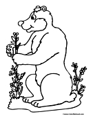 Bear Coloring Page 6