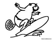Beaver Surfing