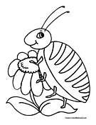 Beetle Coloring Page 1