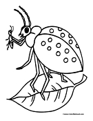 Beetle Coloring Page 2