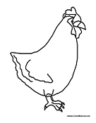 Chicken 8