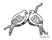 Two Doves on a Branch