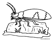 Bug Coloring Page 8