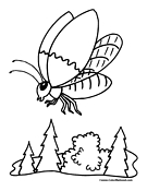 Flying Bug Coloring Page 11