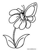Butterfly Coloring Page 4