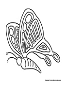 Butterfly Coloring Page 59