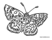 Butterfly Coloring Page 50