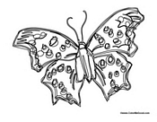 Butterfly Coloring Page 48