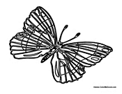 Butterfly Coloring Page 43
