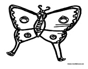 Butterfly Coloring Page 41
