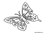 Butterfly Coloring Page 40