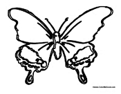 Butterfly Coloring Page 39