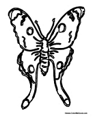 Butterfly Coloring Page 34