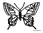 Butterfly Coloring Page 33