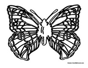 Butterfly Coloring Page 32