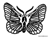 Butterfly Coloring Page 31