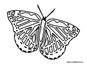 Butterfly Coloring Page 30