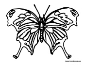 Butterfly Coloring Page 24