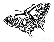 Butterfly Coloring Page 23