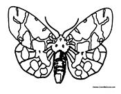 Butterfly Coloring Page 20