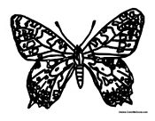 Butterfly Coloring Page 16