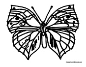 Butterfly Coloring Page 15