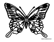 Butterfly Coloring Page 12