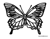 Butterfly Coloring Page 11