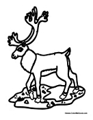 Caribou Coloring Page