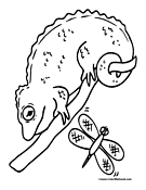 Chameleon Coloring Page 1