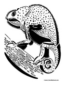 Chameleon Coloring Page 2