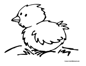 Chicken Coloring Page 5