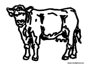 Adult Cow 4