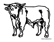 Adult Cow 2