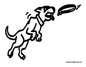 Dog Catching Frisbee