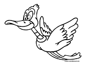 Duck Coloring Page 12