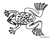 Frog Showing Different Parts