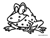 Frog with Warts