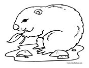 Gopher Coloring Page 1