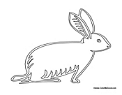 Hare Rabbit