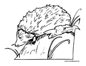 Hedgehog Coloring Page 2