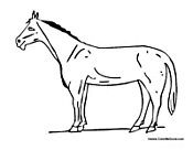 Basic Horse