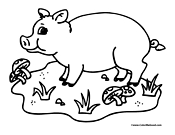 Pig Coloring Page 1