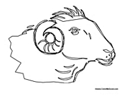 Ram Head with Horns