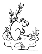 Rat Coloring Page 3