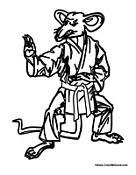 Rat Doing Karate
