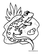 Salamander Coloring Page 1