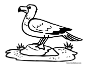 Seagull Coloring Page 1