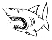 Shark Coloring Page 5